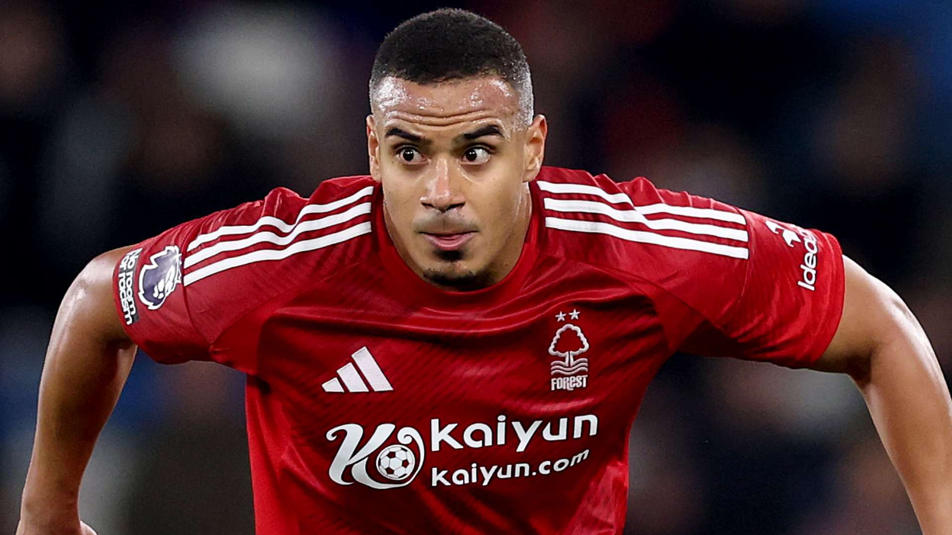 歷了重傷後 歷了重傷後