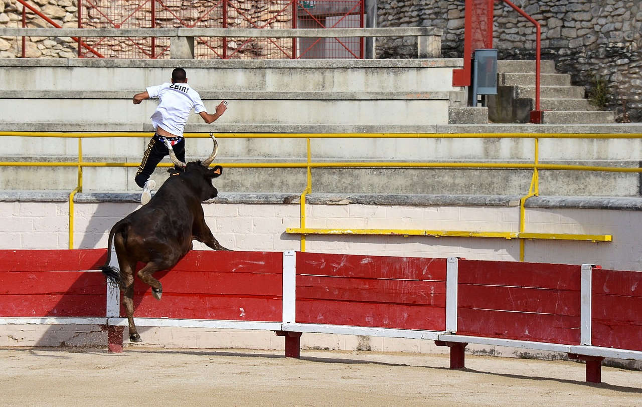 验教导学生